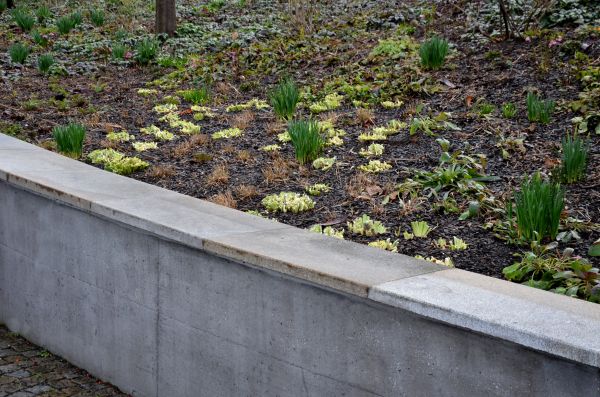 Cost of Concrete Wall Pouring in Boulder