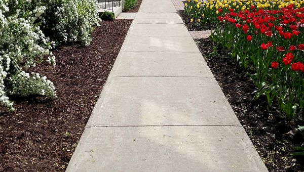Cost of Sidewalk Slab Replacement in Boulder