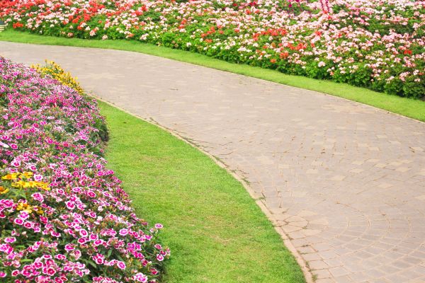 Cost of Concrete Walkway Service in Boulder